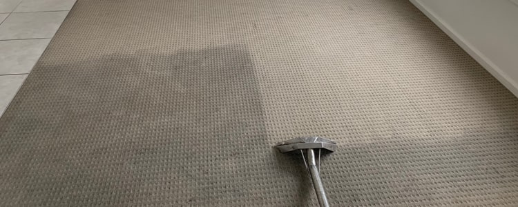 Carpet Cleaning Scarborough Service